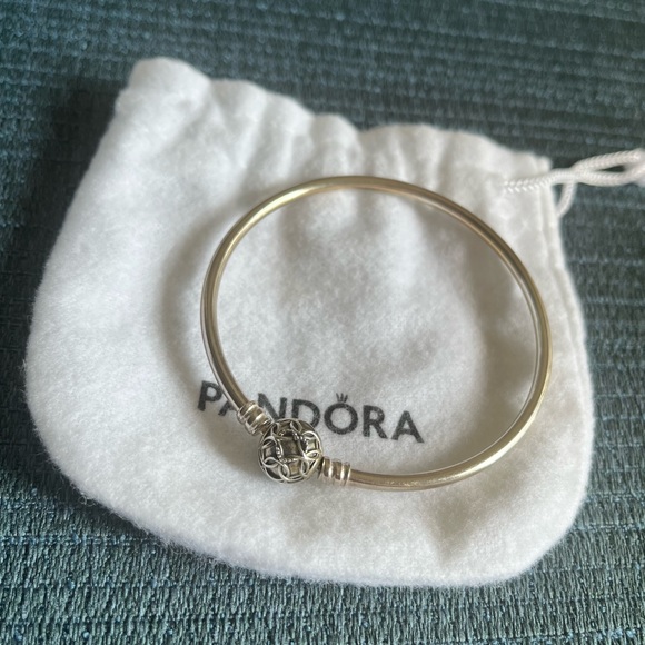 Pandora Moments Bangle - Sterling Silver - Picture 3 of 5